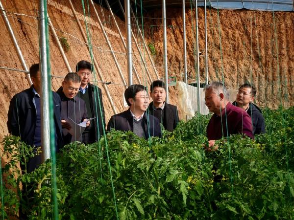 yl23411永利官网随青岛市科技局赴甘肃省 开展东西部科技协作调研